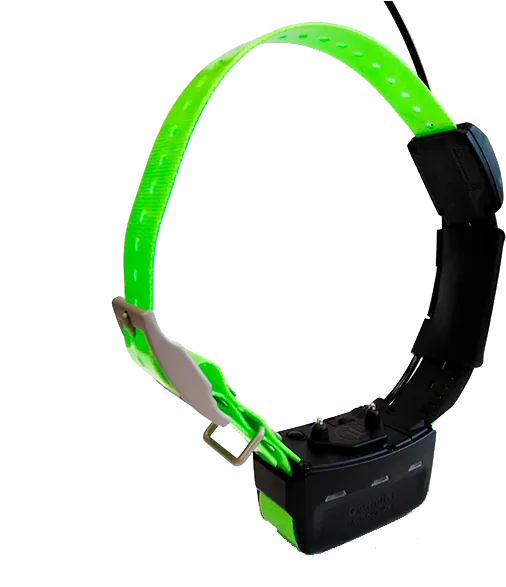 Garmin
